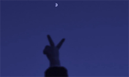 金牛座容易被哪个星座吃死