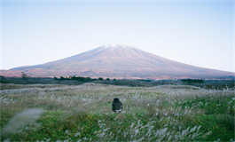 天秤座男偏爱哪类女生