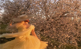 太阳双子女性格