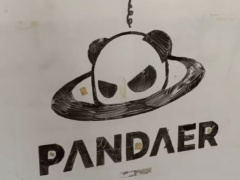 万志强回应网友疑问：PANDAER LOGO永久保留，DreamGoGo定位公司及平台标识
