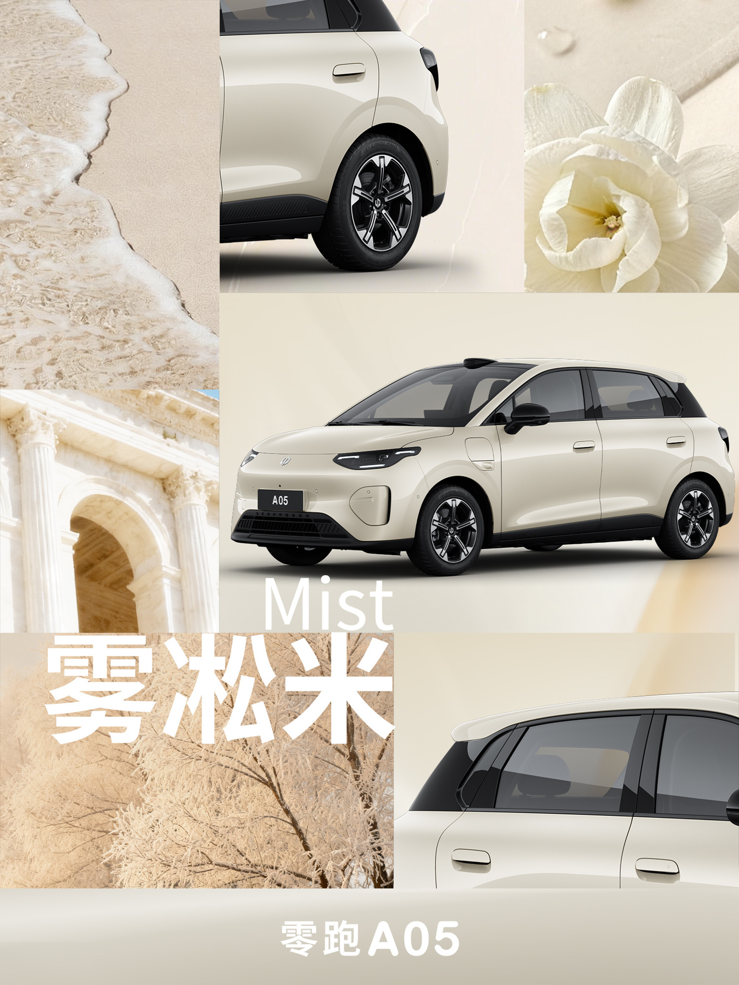d2ff4c80-d049-468d-ad67-3b79ff78730a.jpg