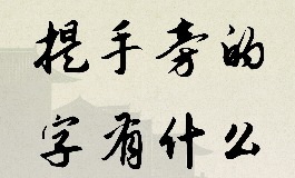 提手字旁的字有哪些？带扌字旁好听的男生名