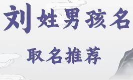 刘姓取名字大全男孩，寓意深刻又好听的名字