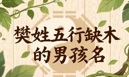 樊姓五行缺木的男孩名字推荐，选一个有意义