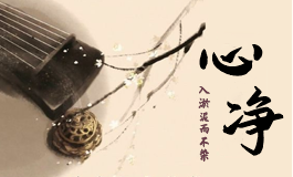 3两2钱女命详解百度