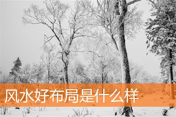 风水好布局是什么样