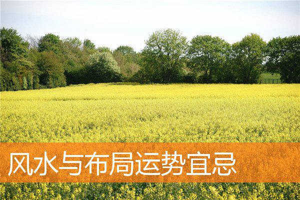 风水与布局运势宜忌