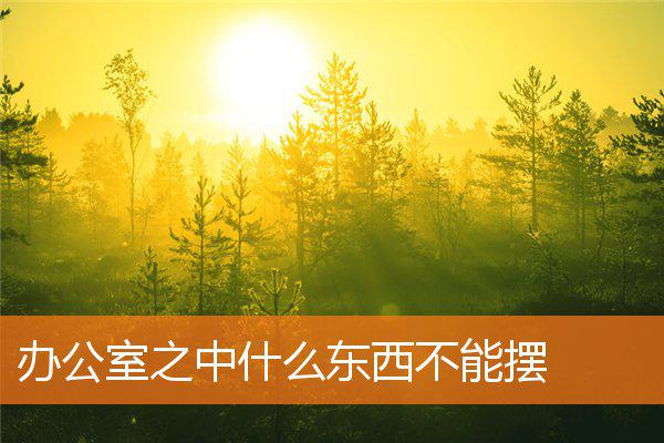 办公室之中什么东西不能摆