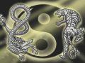 本命年的人在屋内放置什么物件最招财 怎样