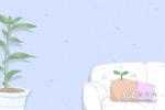 家里有人怀孕可以装修吗 有讲究吗