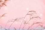 装修风水布局危害运势健康必须重视