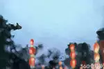 坟地风水如何影响后代运势