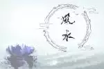 家居风水 养什么鱼能延年益寿提升财运