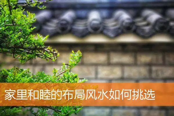 家里和睦的布局风水如何挑选
