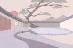 家里养乌龟好吗风水说 家里养乌龟有什么忌