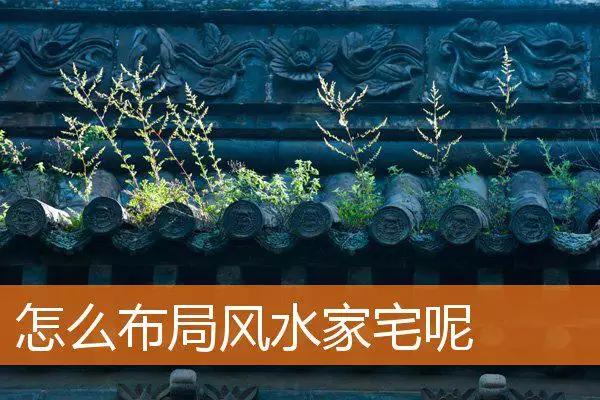 怎么布局风水家宅呢