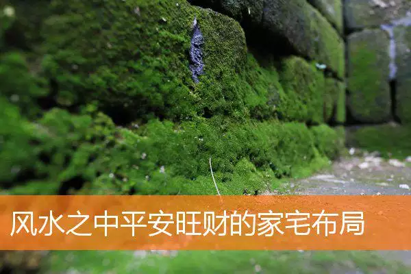 风水之中平安旺财的家宅布局