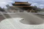 家里养龟不冬眠是好是坏呢，风水有影响吗