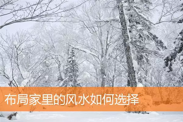 布局家里的风水如何选择