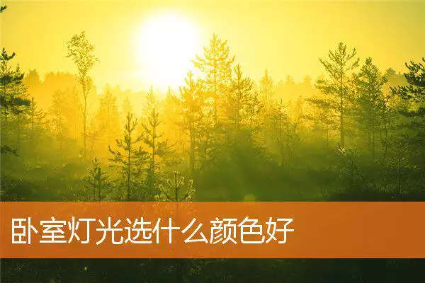 卧室灯光选什么颜色好