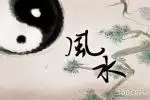 在公司放什么植物可以增加财运