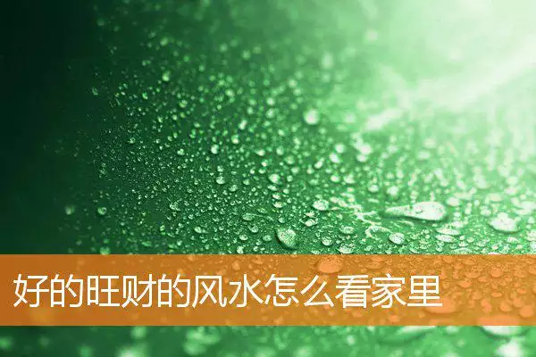 好的旺财的风水怎么看家里