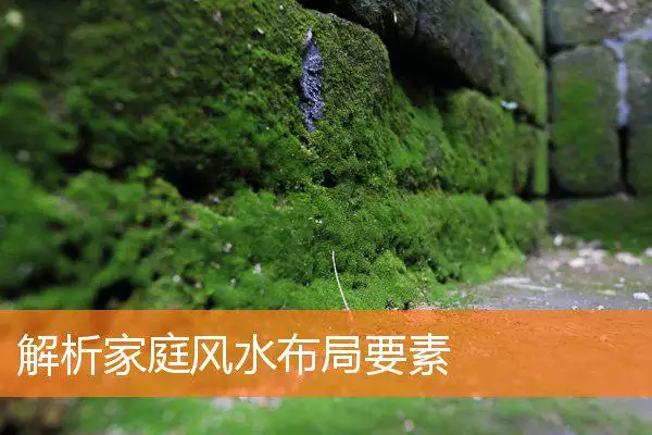 解析家庭风水布局要素
