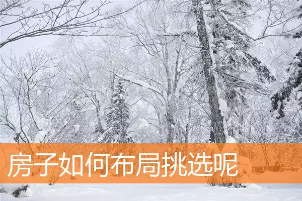 房子如何布局挑选呢
