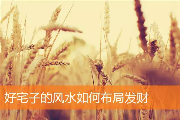 好宅子的风水如何布局发财
