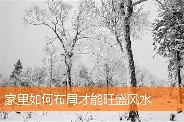 家里如何布局才能旺盛风水
