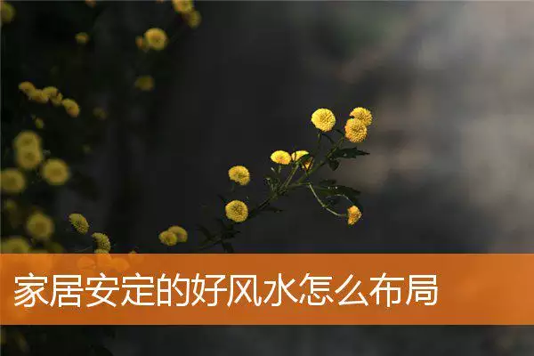 家居安定的好风水怎么布局
