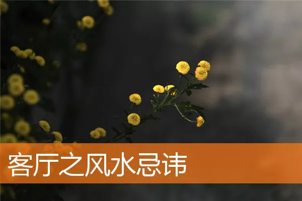客厅之风水忌讳