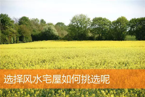 选择风水宅屋如何挑选呢