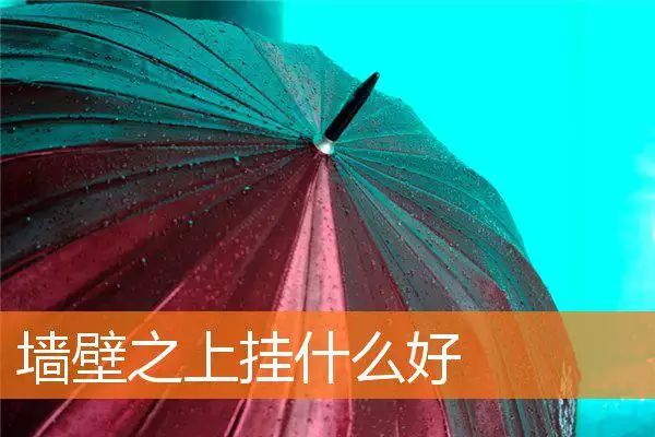 墙壁之上挂什么好