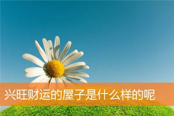 兴旺财运的屋子是什么样的呢