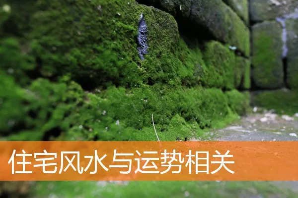 住宅风水与运势相关