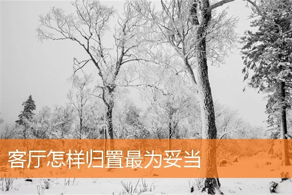 客厅怎样归置最为妥当