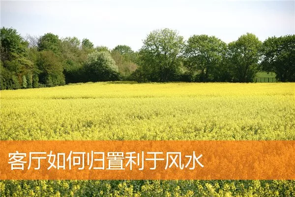 客厅如何归置利于风水