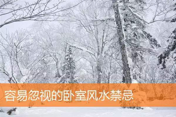容易忽视的卧室风水禁忌