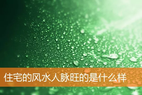 住宅的风水人脉旺的是什么样