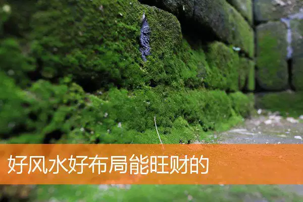 好风水好布局能旺财的