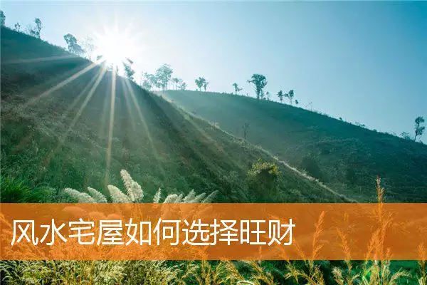 风水宅屋如何选择旺财