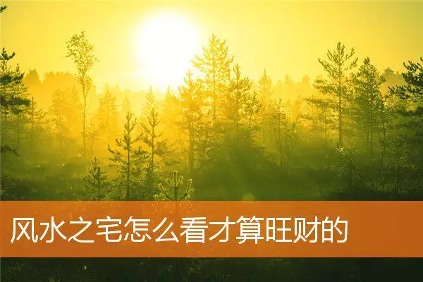 风水之宅怎么看才算旺财的