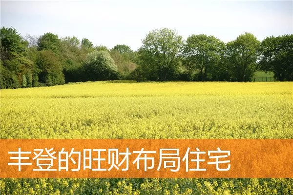 丰登的旺财布局住宅