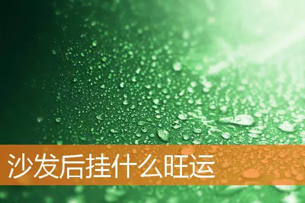 沙发后挂什么旺运