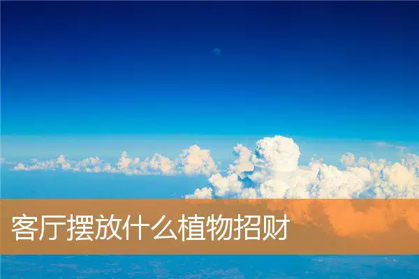 客厅摆放什么植物招财