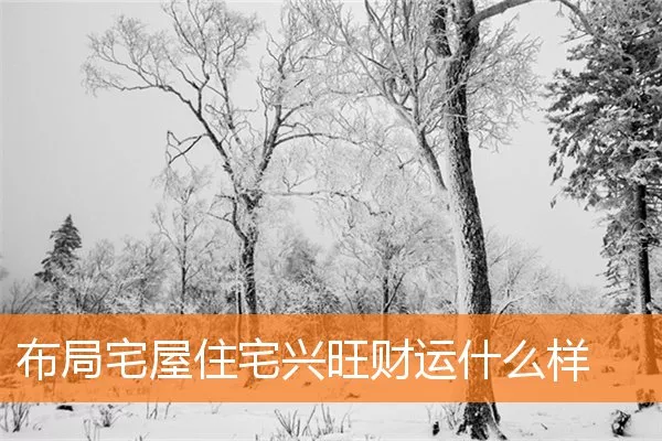 布局宅屋住宅兴旺财运什么样