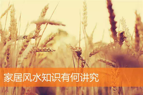 家居风水知识有何讲究