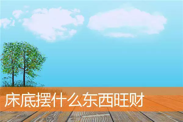 床底摆什么东西旺财