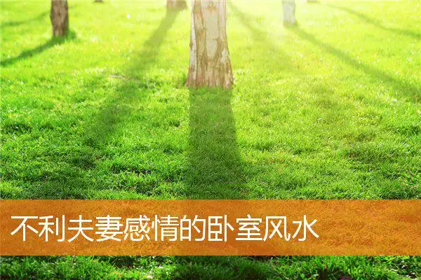 不利夫妻感情的卧室风水